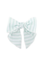 Calamaro mint stripe hair clip