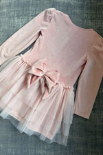 Jamiks dusky pink velour tulle dress