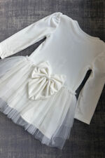 Jamiks ivory velour tulle dress