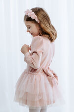 Jamiks dusky pink velour tulle dress