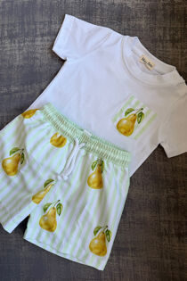 Meia Pata boys pear swim short and t shirt