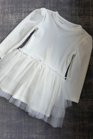 Jamiks ivory velour tulle dress