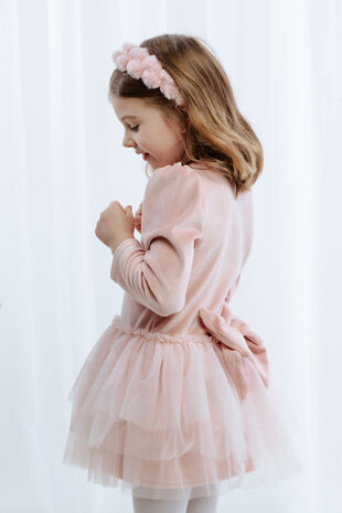 Jamiks dusky pink velour tulle dress