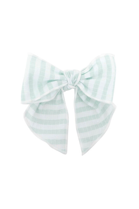Calamaro mint stripe hair clip