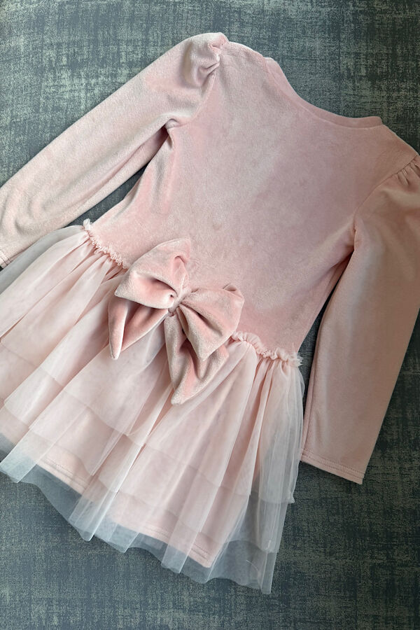 Jamiks dusky pink velour tulle dress