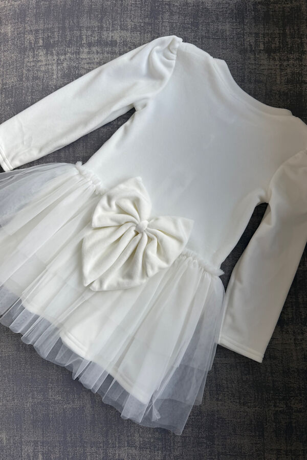 Jamiks ivory velour tulle dress